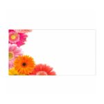 cadeaukaartje – gerbera