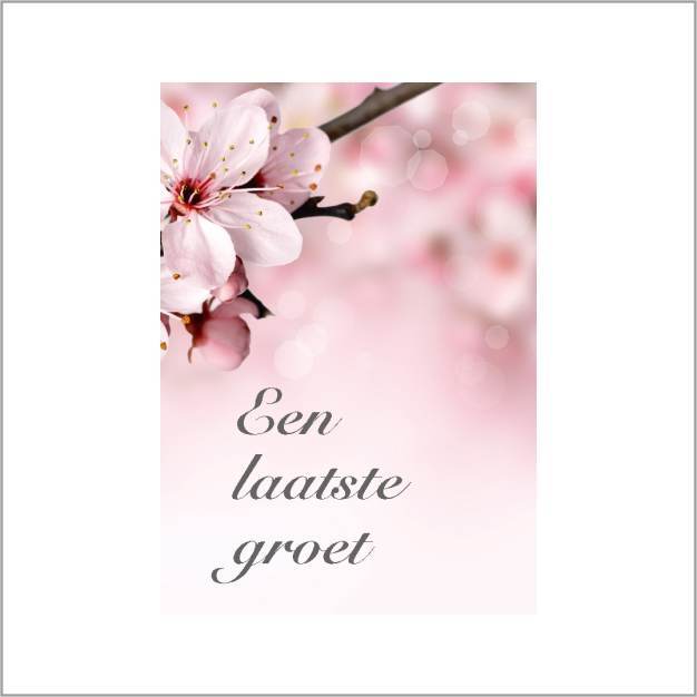 mini rouwkaart - Bloesem - laatste groet - 20 stuks