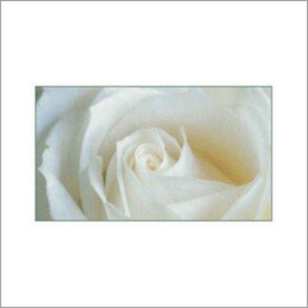 Funeral card – Rose double card – Blank – 20 pieces