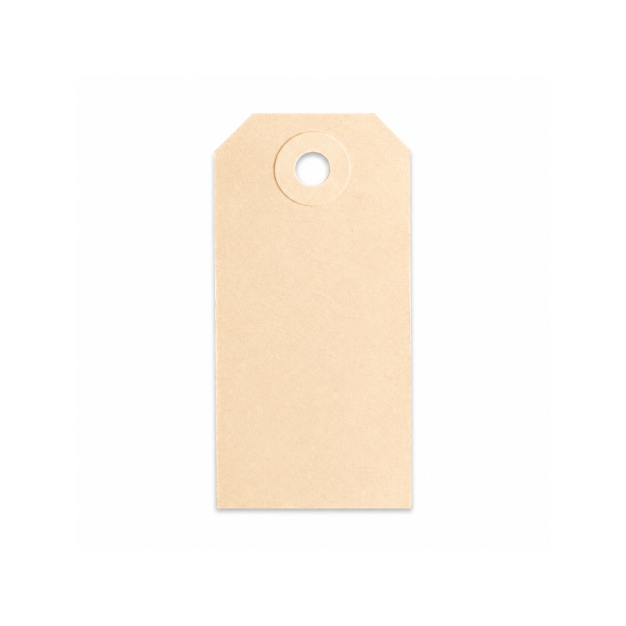Manilla labels - Prijskaarten - 1000 stuks - 70 x 35 mm
