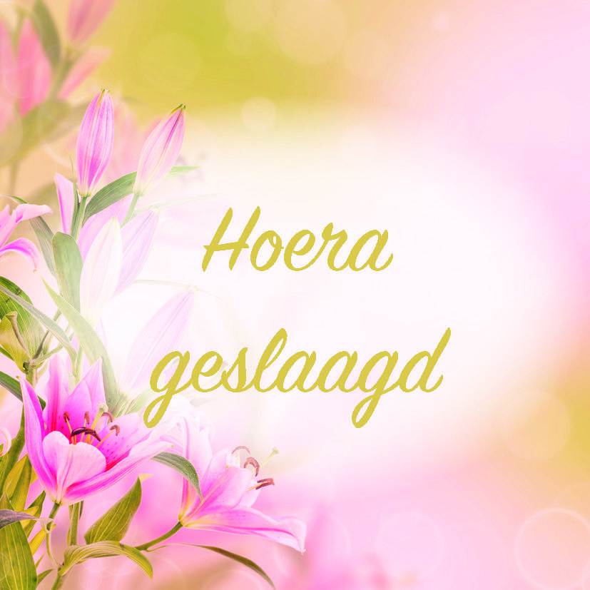 cadeau kaartjes – 20 stuks – Geslaagd