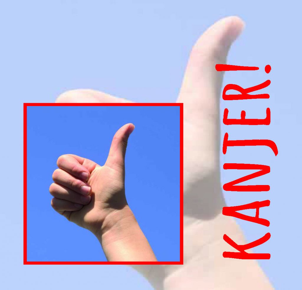 cadeau kaartjes – 20 stuks – Kanjer