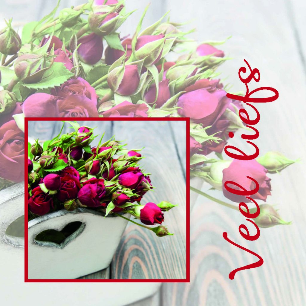 cadeau kaartjes – 20 stuks – Veel liefs