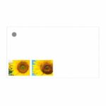 cadeaukaartje – zonnebloemen
