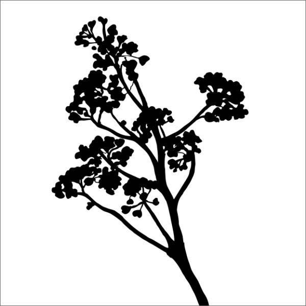 Together wenskaart – tak – 6 stuks