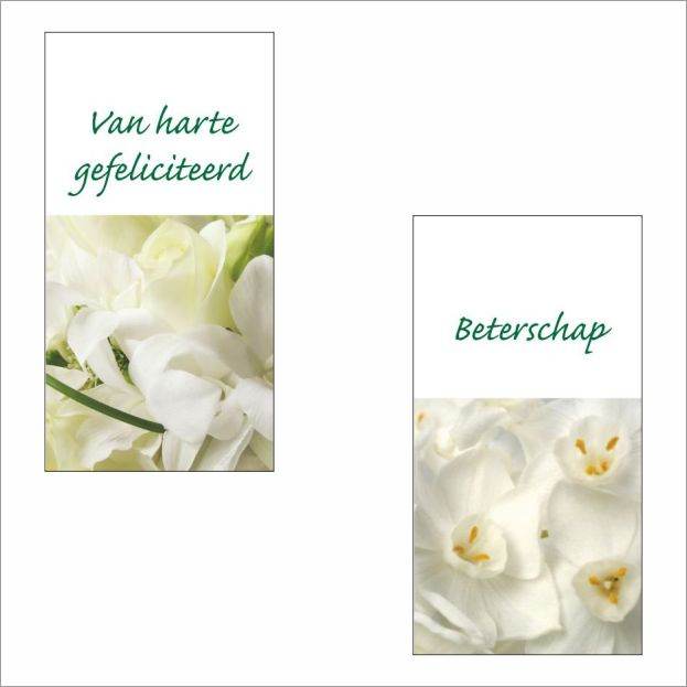 Glossy Flower - Sale