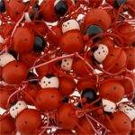 Marienkäfer – Bild 2