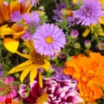 Geschenkkarte – Blumenmischung – 20 Stück – Bild 2