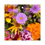 Geschenkkarte – Blumenmischung – 20 Stück