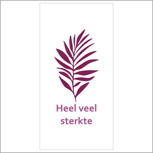 cadeau kaartjes - 20 stuks - veel sterkte