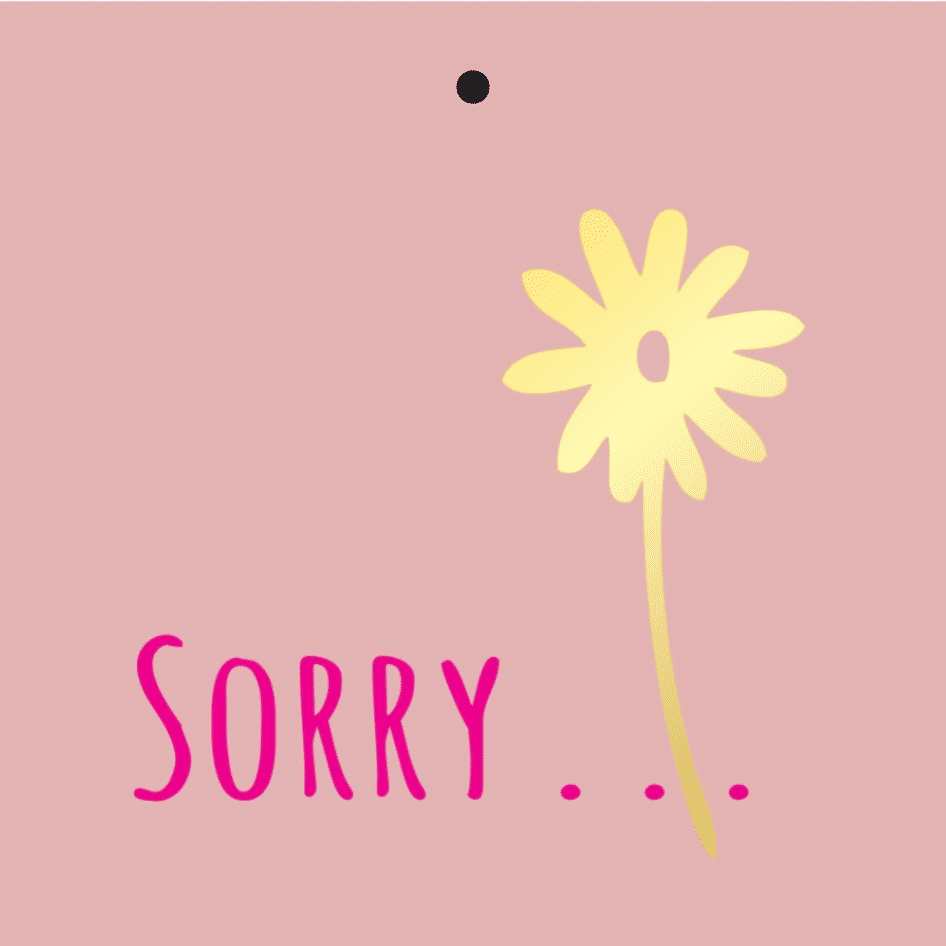 Cadeaukaartje – “Sorry...” – 20 Stuks