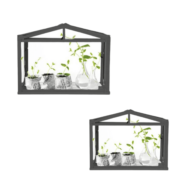 Mini Kweekkassen - (Set van 2) - Zwart - Glazenhuisje Deco - Greenhouse