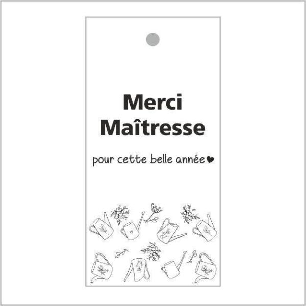 cadeau kaartjes – 20 stuks – merci maîtresse pour cette belle année