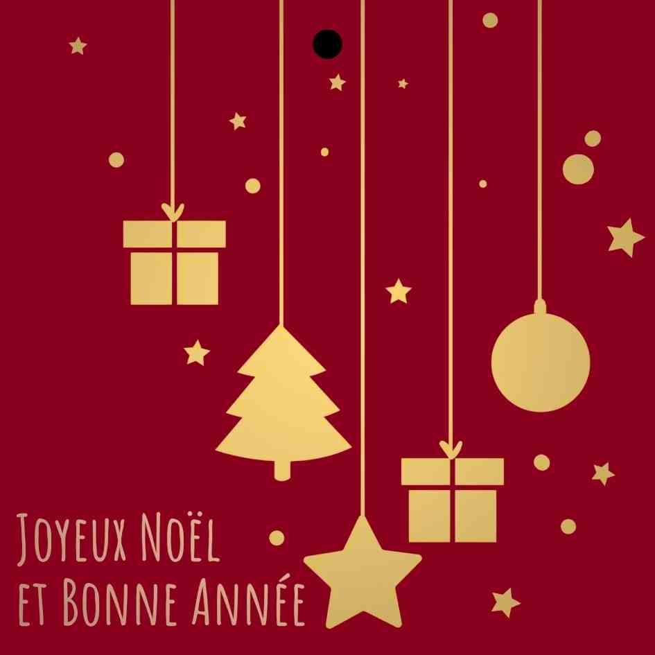 Cadeaukaartje - "Joyeux Noël et Bonne Année" – 20 Stuks