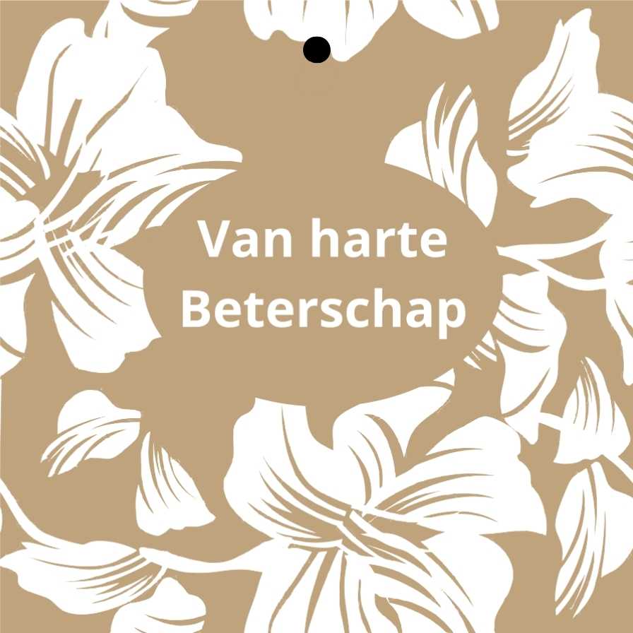 Cadeau kaartjes – 20 stuks – Van harte Beterschap