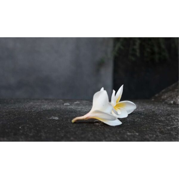 Beileidskarte – "Blume" – 20 Stücke