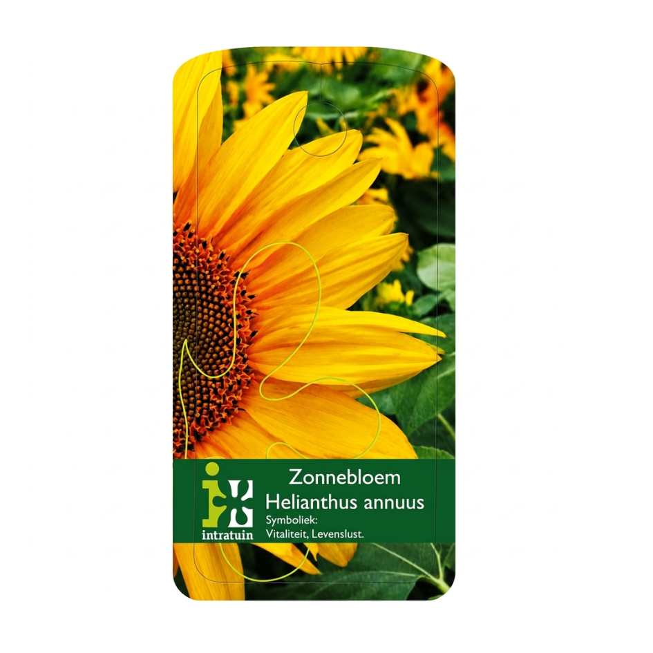 Voorbeeld naametiket 7