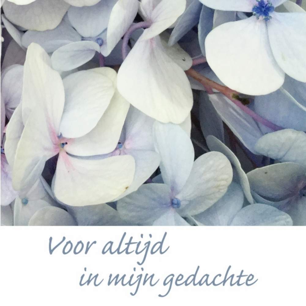 Rouwkaart – "Voor altijd in mijn gedachte" – 20 Stuks