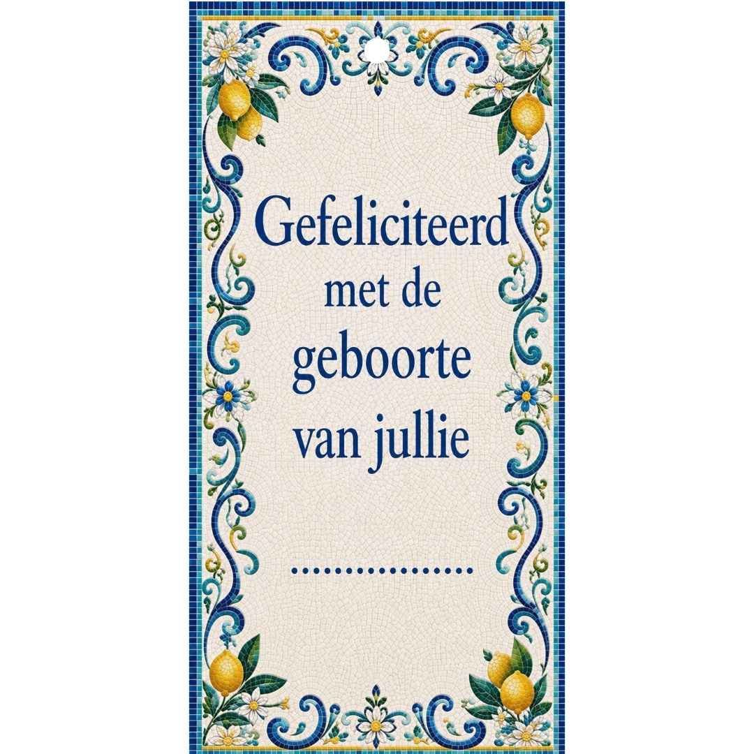 Cadeaukaartje - "Gefeliciteerd Met De Geboorte Van Jullie ......." - 20 Stuks